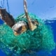 Dextronix supports "The Ocean Clean Up" a non-
